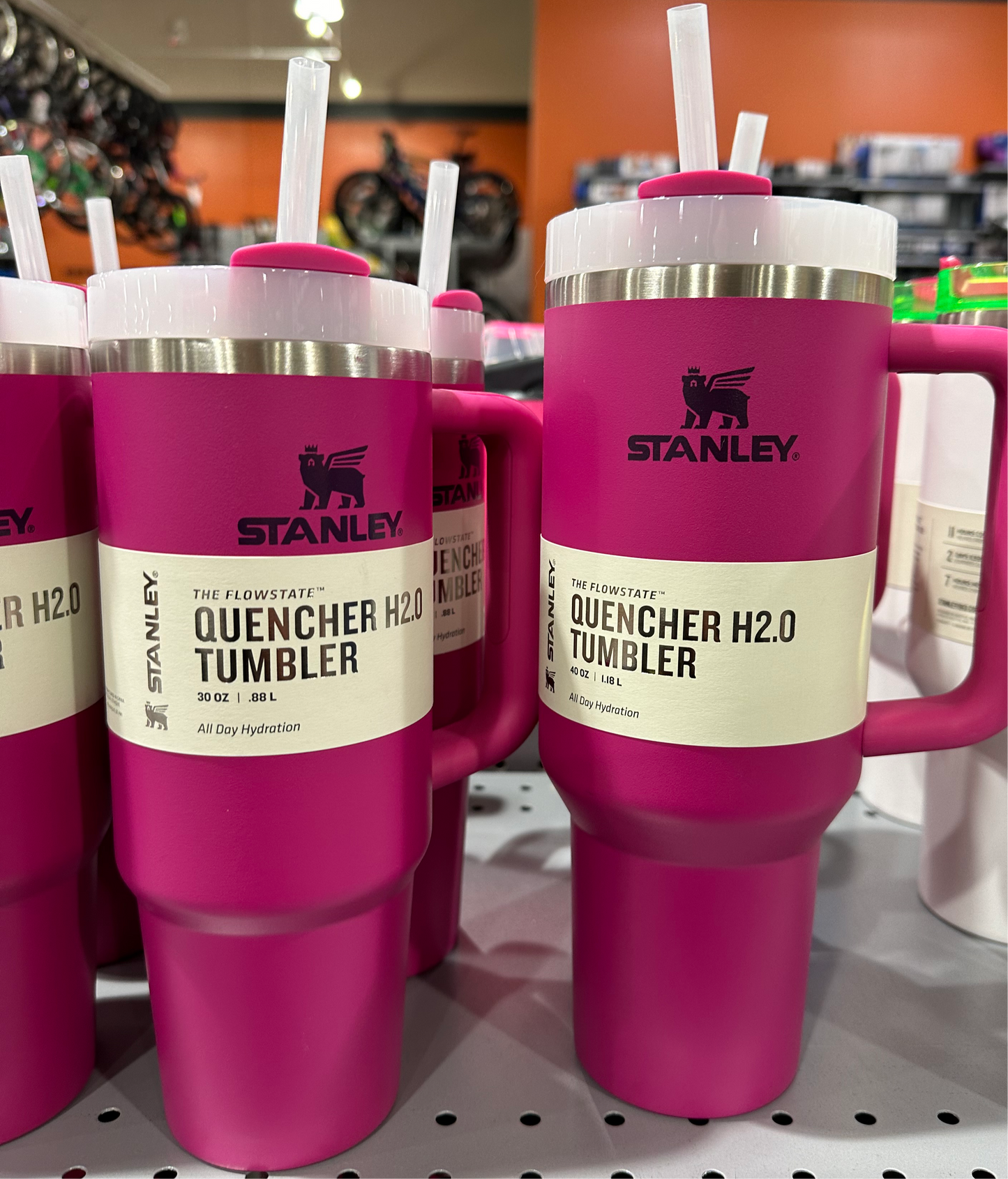 Stanley Fuchsia